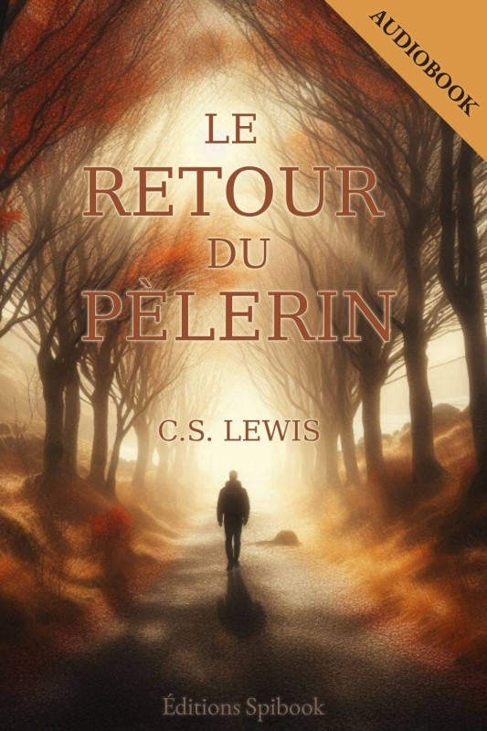 Le retour du pèlerin de CS Lewis pdf téléchargement immédiat Le retour du pèlerin de CS Lewis pdf téléchargement immédiat