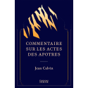 Commentaire sur les actes des apôtres (pdf)