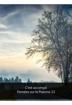 C'est accompli, pensées sur le Psaume 22 (epub)