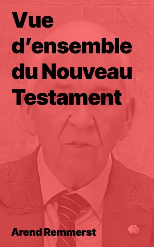 Arend Remmers - Vue d’ensemble du Nouveau Testament (Epub)