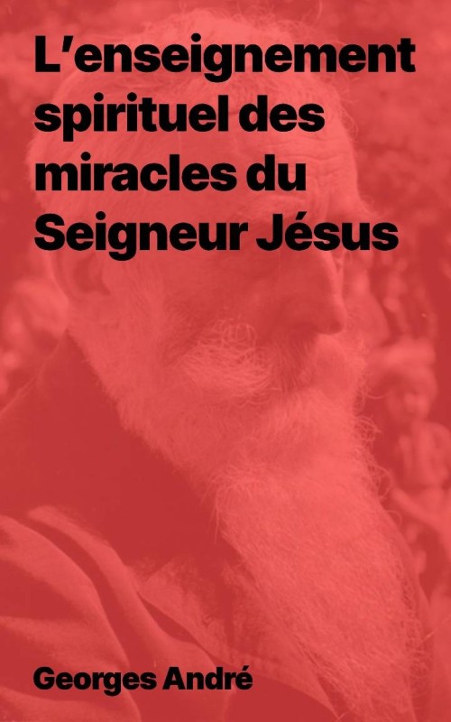 L’enseignement spirituel des miracles du Seigneur Jésus (Epub)