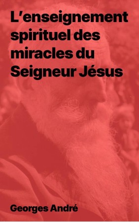 L’enseignement spirituel des miracles du Seigneur Jésus, Georges André
