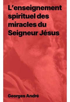 L’enseignement spirituel des miracles du Seigneur Jésus, Georges André