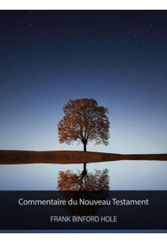 FB Hole - Commentaire du Nouveau Testament (epub)