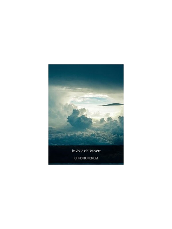 Christian Briem - Je vis le ciel ouvert (Epub)