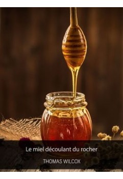 Le miel découlant du rocher de Thomas Wilcox (epub)