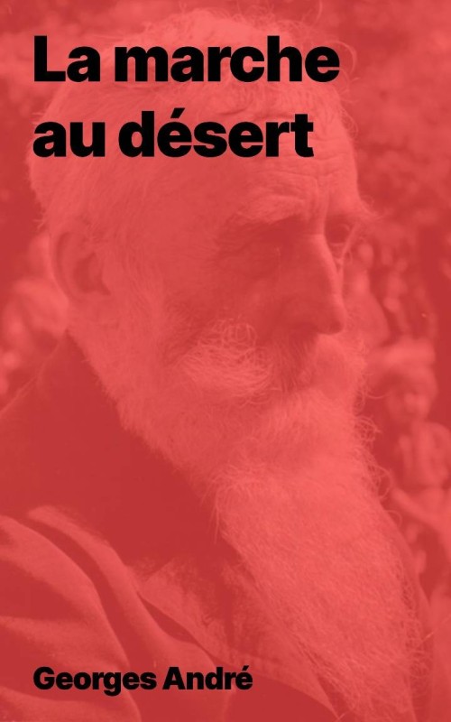 La marche au désert de Georges André au format Epub