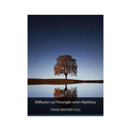 Réflexion sur l'évangile selon Matthieu - Frank Binford Hole pdf