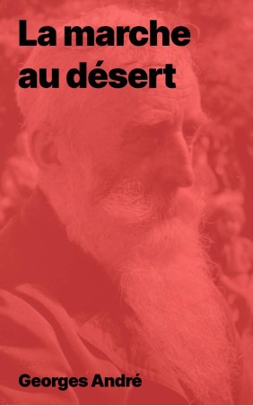 La marche au désert de Georges André au format PDF