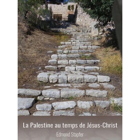 La Palestine au temps de Jésus-Christ d'après le Nouveau Testament : l'historien Flavius Josèphe et les Talmuds (Epub)