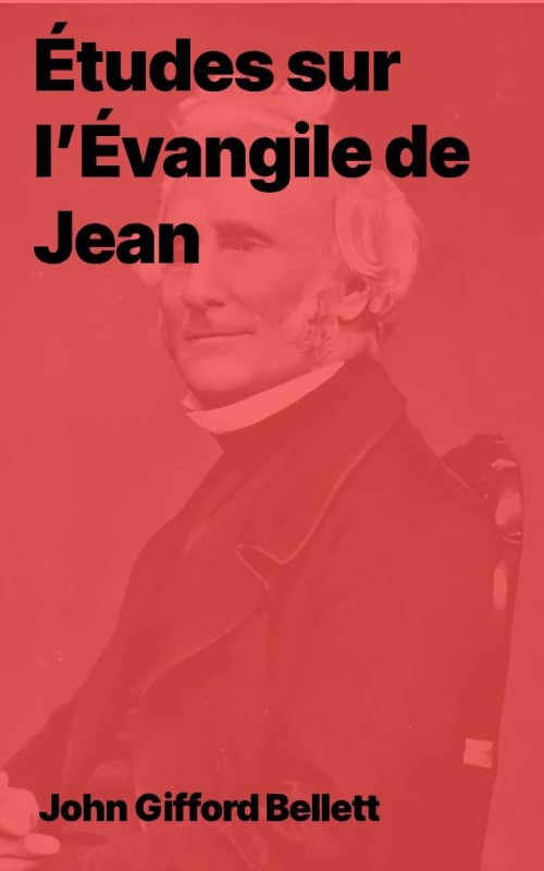 Études sur l’Évangile de Jean (Epub)