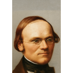 Charles-Auguste Auberlen