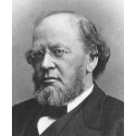 AA Hodge