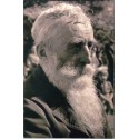 Georges André